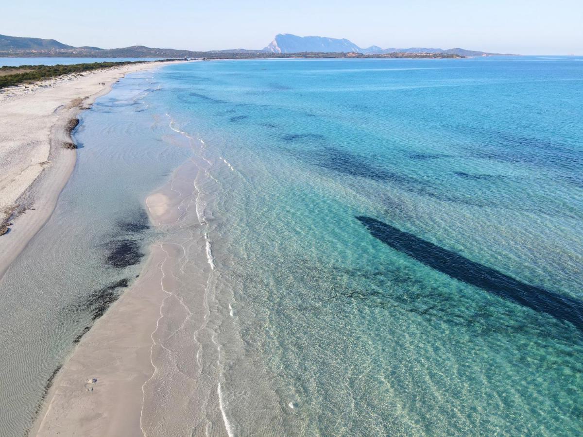 Iss Travel, Citai Panoramic Apartments - 1,5 Km From The Beach