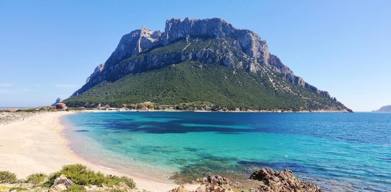 Apartment Iss Travel, Citai Panoramic Apartments - 1,5 Km From The Beach *